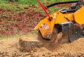  Western Lake, TX Tree Services Pros