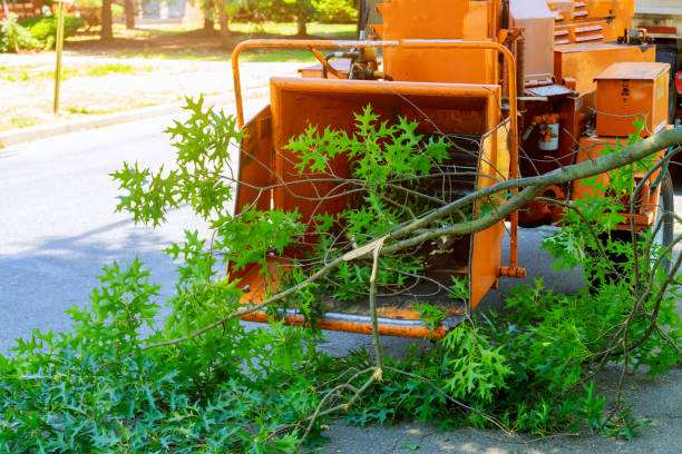 Best Pest Control for Lawns  in Western Lake, TX