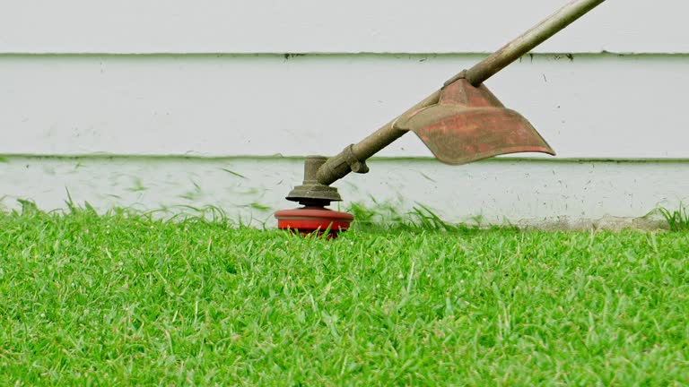 Best Lawn Irrigation Installation and Maintenance  in Western Lake, TX