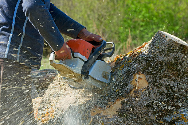 Best Lawn Mowing  in Western Lake, TX